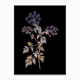 Stained Glass Hemlock Flowers Mosaic Botanical Illustration on Black n.0238 Canvas Print
