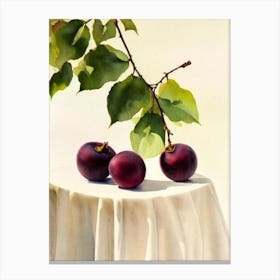 Damson 2 Italian Watercolour fruit Canvas Print