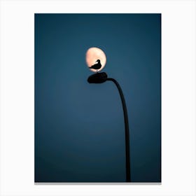 Silhouette Of A Bird On A Lamppost Canvas Print