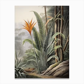 Vintage Jungle Botanical Illustration Bird Of Paradise 3 Canvas Print