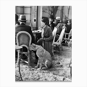 Cheetah At The Cafe With Lady, Ocelot, Vintage Black and White Old Photo Canvas Print