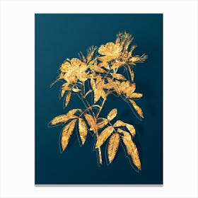 Vintage Pink Swamp Roses Botanical in Gold on Teal Blue n.0123 Canvas Print