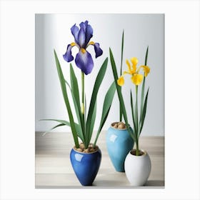 Three Iris Canvas Print