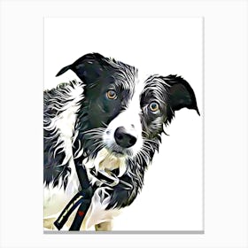 Border Collie Dog Canvas Print