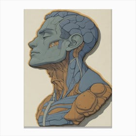 Anatomy Bust Canvas Print