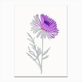 Aster Floral Minimal Line Drawing 3 Flower Canvas Print