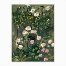 Pink Climbing Roses Canvas Print
