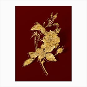 Vintage Blood Red Bengal Rose Botanical in Gold on Red n.0420 Canvas Print