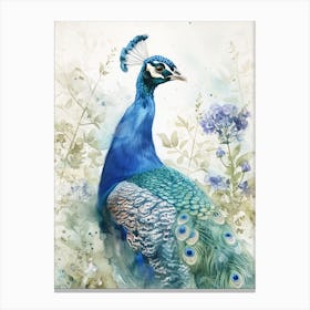Watercolour Peacock With The Blue Blossom 1 Canvas Print