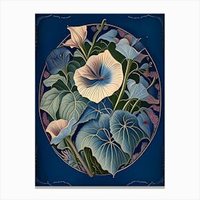 Morning Glory 1 Loral Botanical Vintage Poster Flower Canvas Print