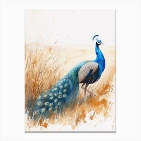 Watercolour Peacock In The Grass Canvas Print