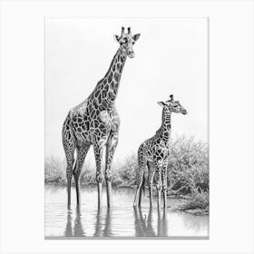 Giraffe & Calf Pencil Portrait  2 Canvas Print