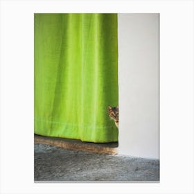 Cat And The Curtain Canvas Print