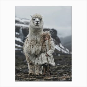 Iceland Alpaca Canvas Print