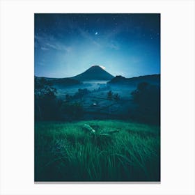 Night In Bali Canvas Print