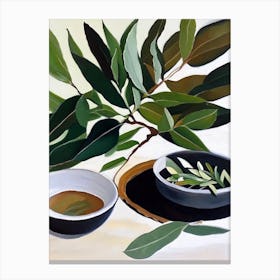 Bay Leaf Spices And Herbs Oil Painting Canvas Print