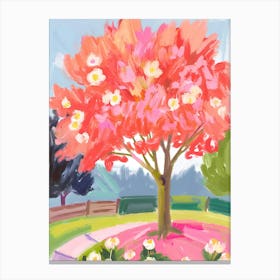 Tree In Bloom Canvas Print