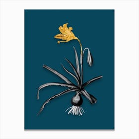 Vintage Amaryllis Broussonetii Black and White Gold Leaf Floral Art on Teal Blue n.0759 Canvas Print