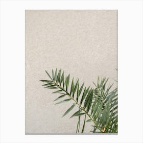 Botanical Cactus On The Wall Canvas Print