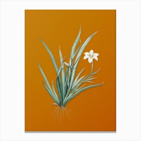 Vintage Fortnight Lily Botanical on Sunset Orange n.0224 Canvas Print