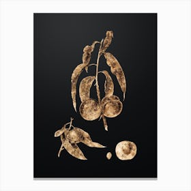 Gold Botanical Walnut Peach on Wrought Iron Black n.0115 Canvas Print