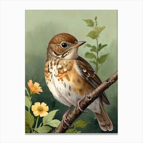 Robin 5 Canvas Print