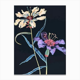 Neon Flowers On Black Scabiosa 4 Canvas Print