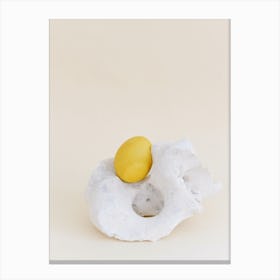 Egg On A Shell Canvas Print