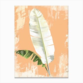 Banana Leaf 17 Canvas Print