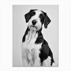 Pointer (German Wirehaired) B&W Pencil dog Canvas Print