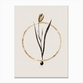 Gold Ring Lady Tulip Glitter Botanical Illustration Canvas Print