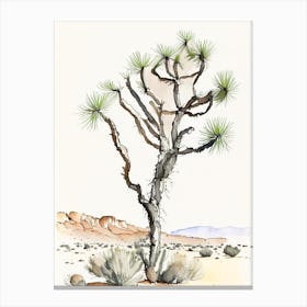 Joshua Tree In Grand Canyon Minimilist Watercolour  (1) Canvas Print