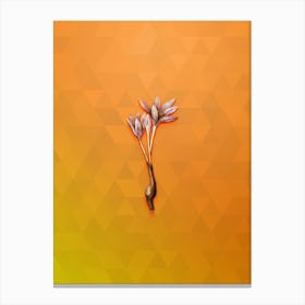 Vintage Autumn Crocus Botanical Art on Tangelo n.0832 Canvas Print