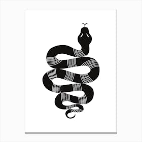 Large Snake Stripes Blk Canvas Print