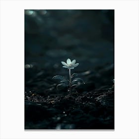 Single Flower In Water 6 Canvas Print