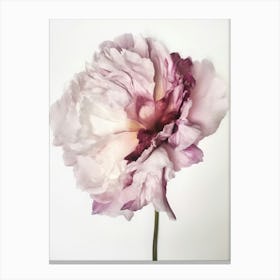 2024 May Poster Watercolour Peony Canvas Print