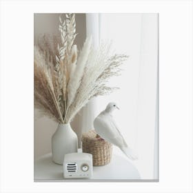 Dove On A Table Canvas Print