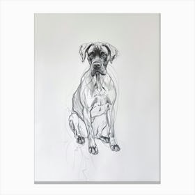 Boxer Dog Charcoal Line 3 Canvas Print