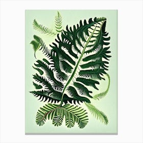 Upside Down Fern Vintage Botanical Poster Canvas Print