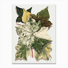 Ivy Leaves Canvas Print