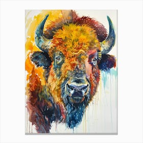 Buffalo Colourful Watercolour 1 Canvas Print