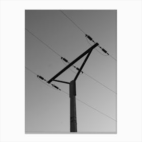 Black And White Power Pole Canvas Print