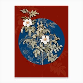 Vintage Botanical Musk Rose on Circle Blue on Red n.0139 Canvas Print