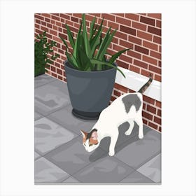 Cat On The Patio 1 Canvas Print