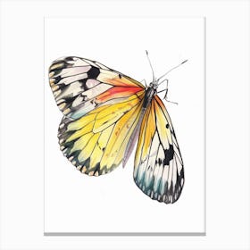 Butterfly Pastel Watercolour 2 Canvas Print