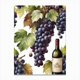 Vines,Black Grapes And Wine Bottles Painting (30) Canvas Print
