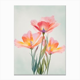 Bird Of Paradise Flowers Acrylic Pastel Colours 2 Canvas Print