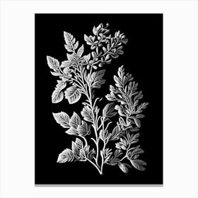 Thyme Leaf Linocut 3 Canvas Print
