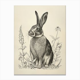 American Sable Blockprint Rabbit Illustration 1 Canvas Print
