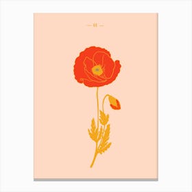 Vintage poppy botanical illustration Canvas Print